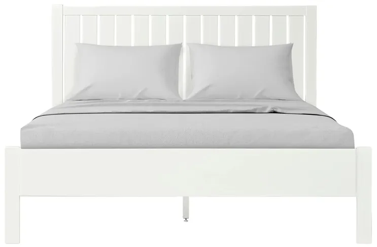 Graham Platform Bed in White by CAMDEN ISLE