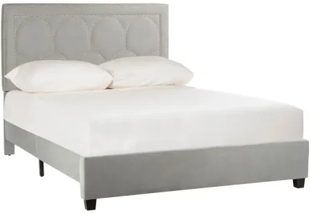 Solania Upholstered Bed in Gray Velvet by Safavieh