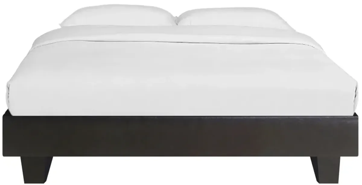 Acton Platform Bed in Black by CAMDEN ISLE