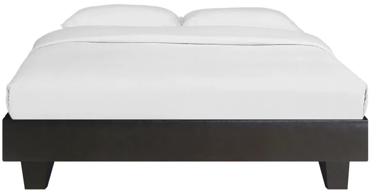 Acton Platform Bed in Black by CAMDEN ISLE