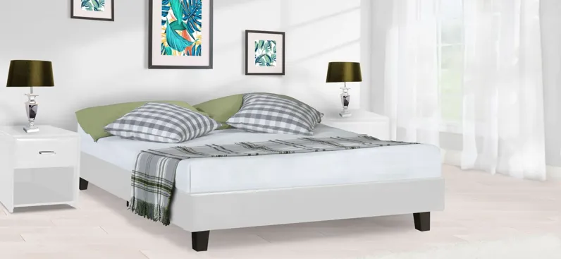 Acton Platform Bed in White by CAMDEN ISLE