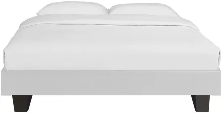 Acton Platform Bed in White by CAMDEN ISLE