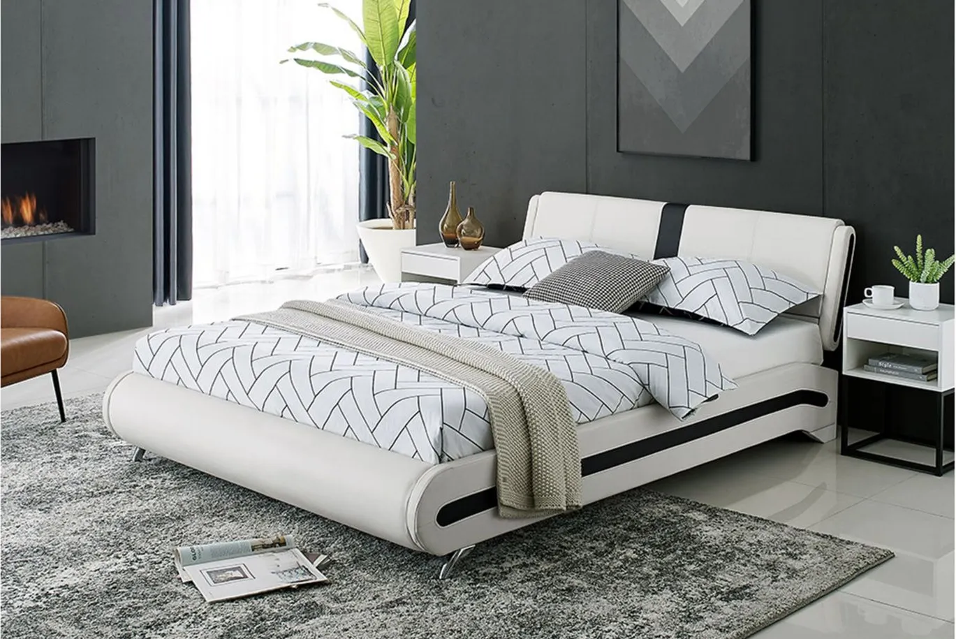 Carlton Platform Bed in White by CAMDEN ISLE