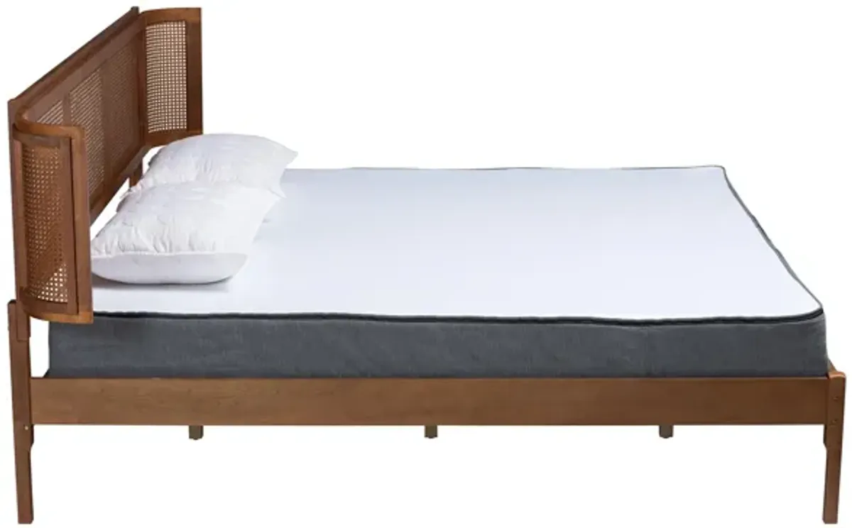 Eridian Platform Bed