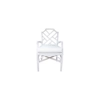 Kara Rattan Arm Chair in White by New Pacific Direct