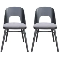 Iago Dining Chair (Set of 2) in Gray, Black by Zuo Modern