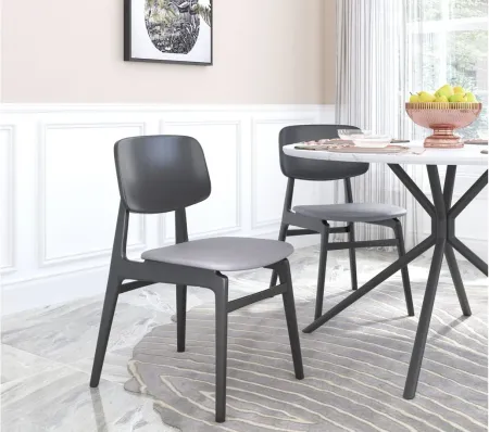 Othello Dining Chair (Set of 2) in Gray, Black by Zuo Modern