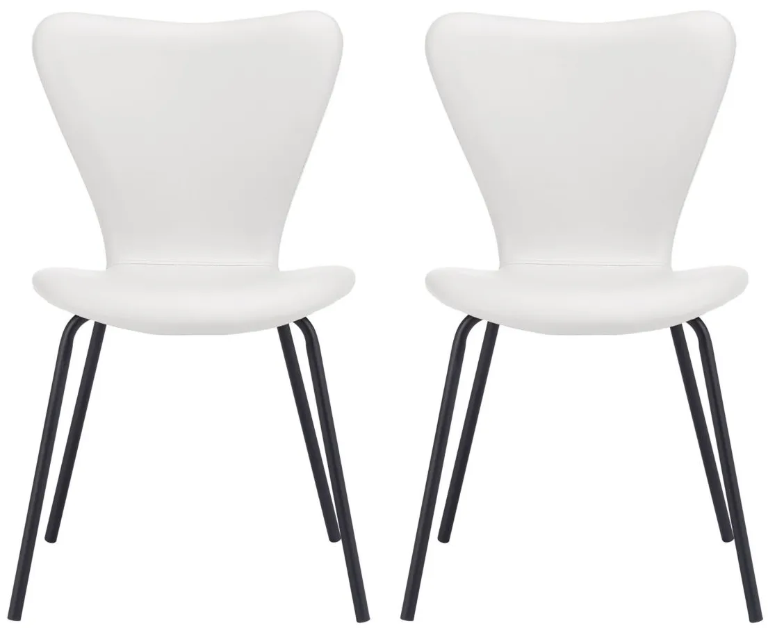Torlo Dining Chair (Set of 2) in White by Zuo Modern
