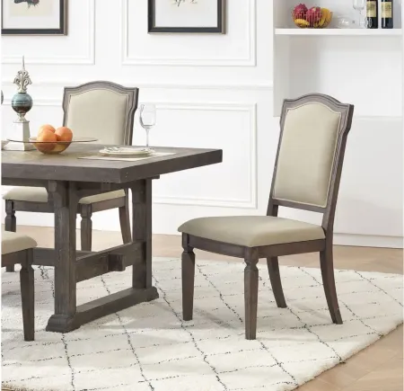 Rosewind Dining Chairs -Set of 2 by Coast To Coast Imports