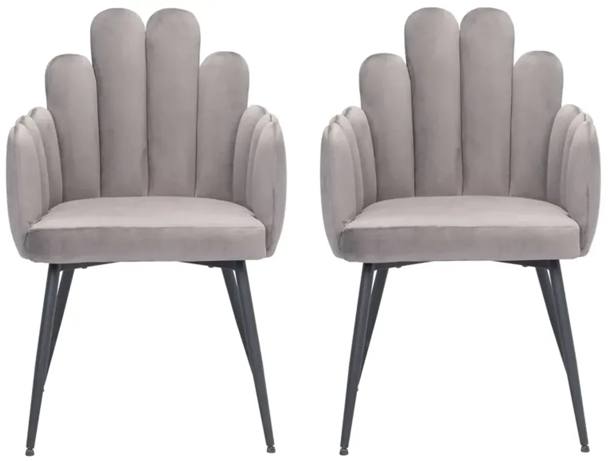 Noosa Dining Chair (Set of 2) in Gray by Zuo Modern