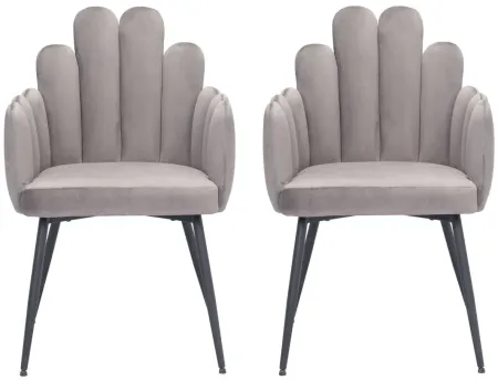 Noosa Dining Chair (Set of 2) in Gray by Zuo Modern