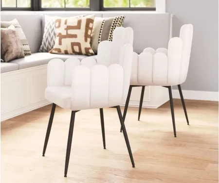 Noosa Dining Chair (Set of 2) in Ivory by Zuo Modern