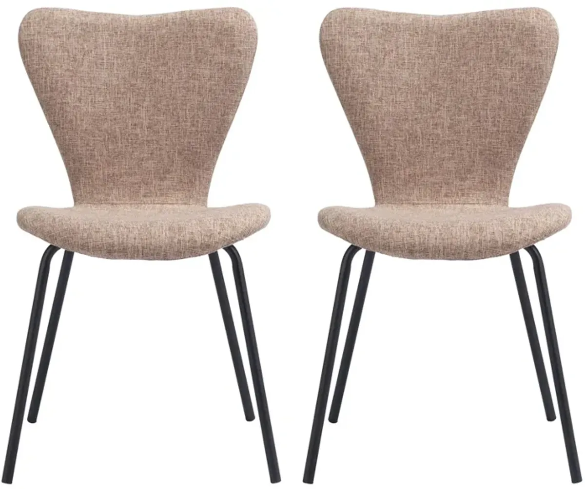 Tollo Dining Chair (Set of 2) in Brown by Zuo Modern