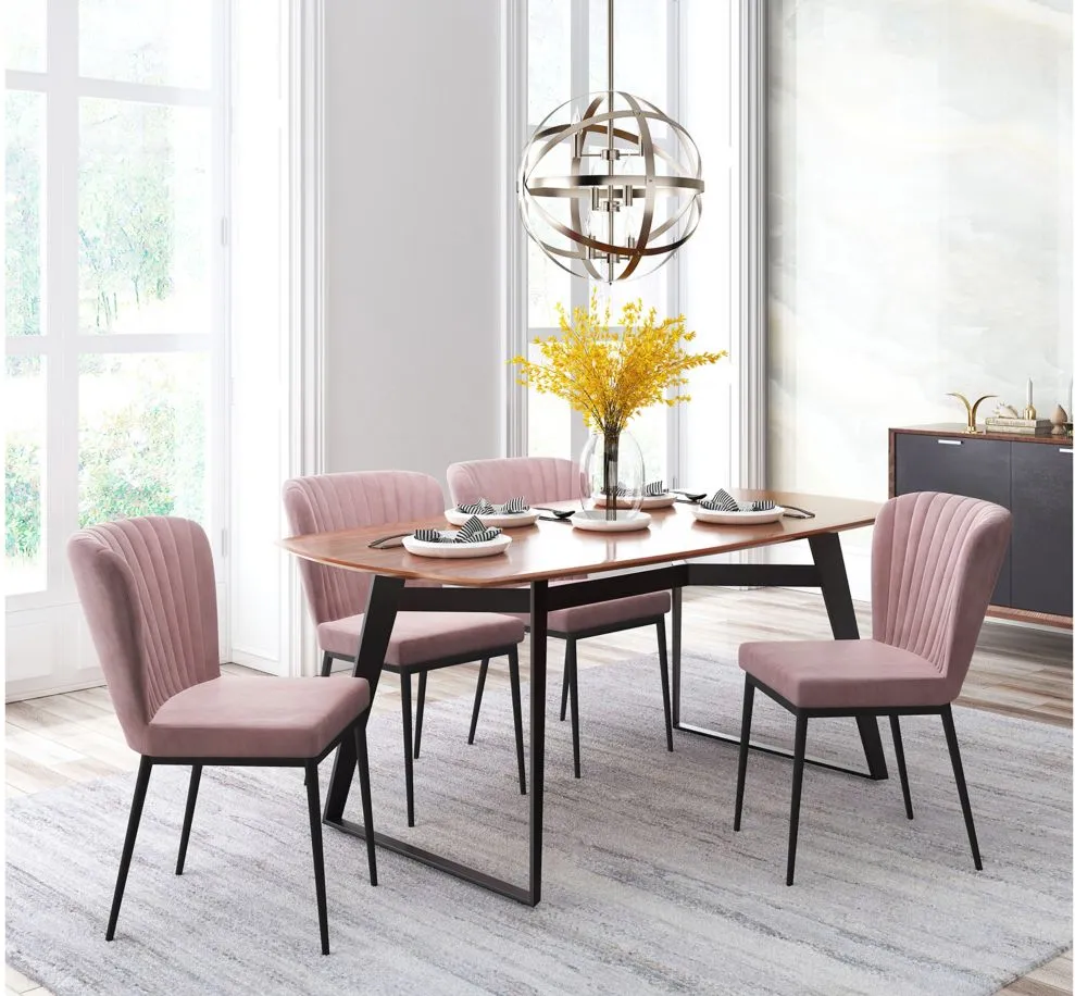 Tolivere Dining Chair (Set of 2) in Pink, Black by Zuo Modern