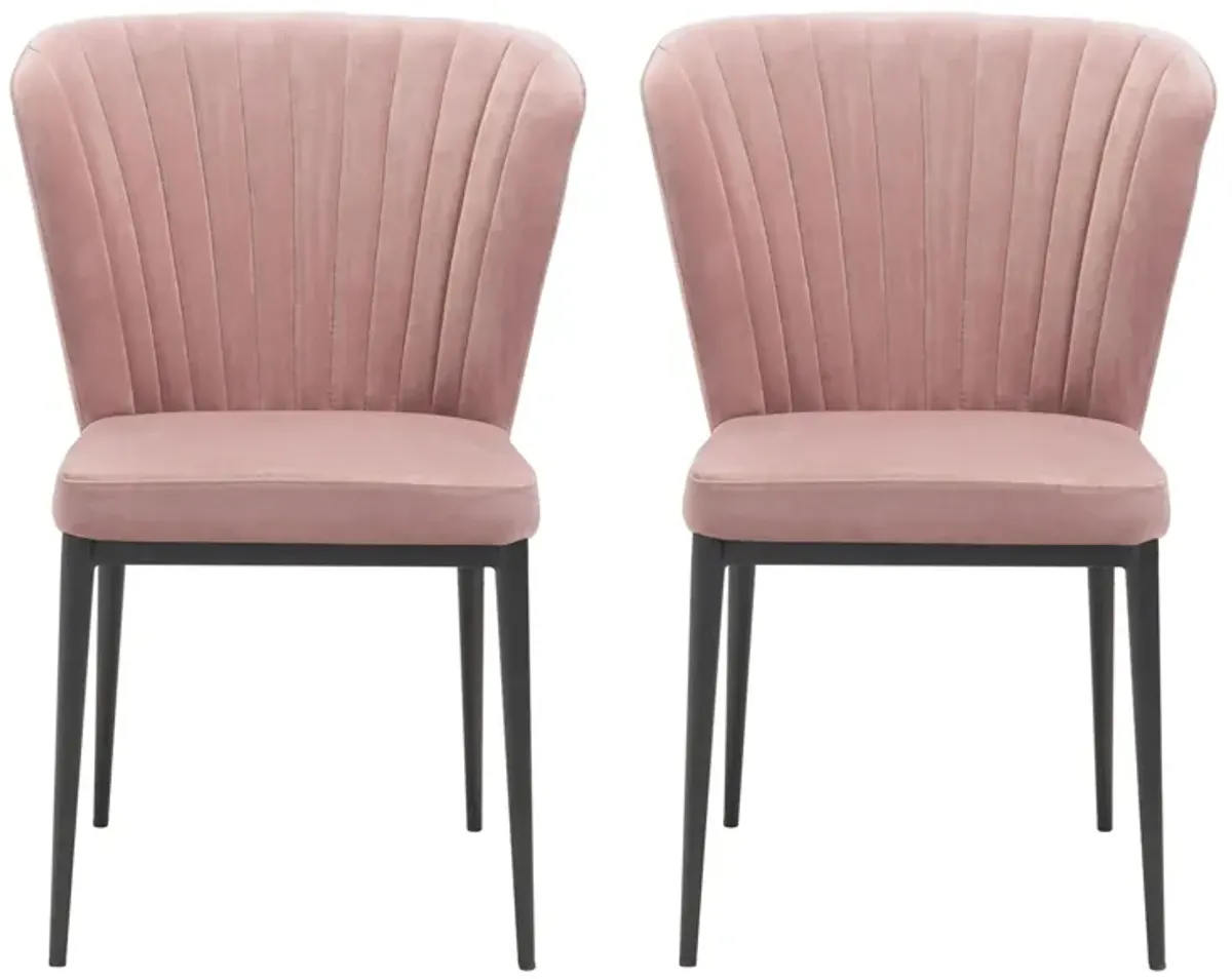 Tolivere Dining Chair (Set of 2) in Pink, Black by Zuo Modern