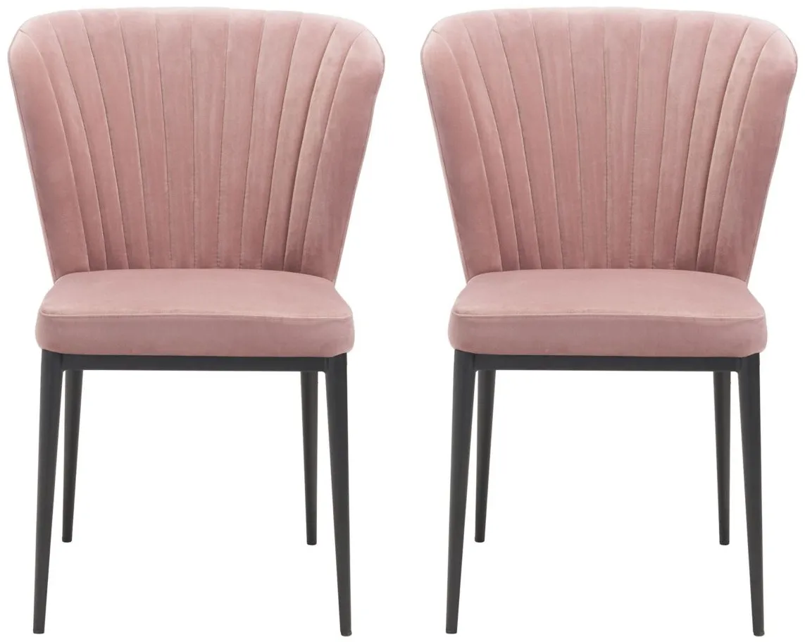 Tolivere Dining Chair (Set of 2) in Pink, Black by Zuo Modern