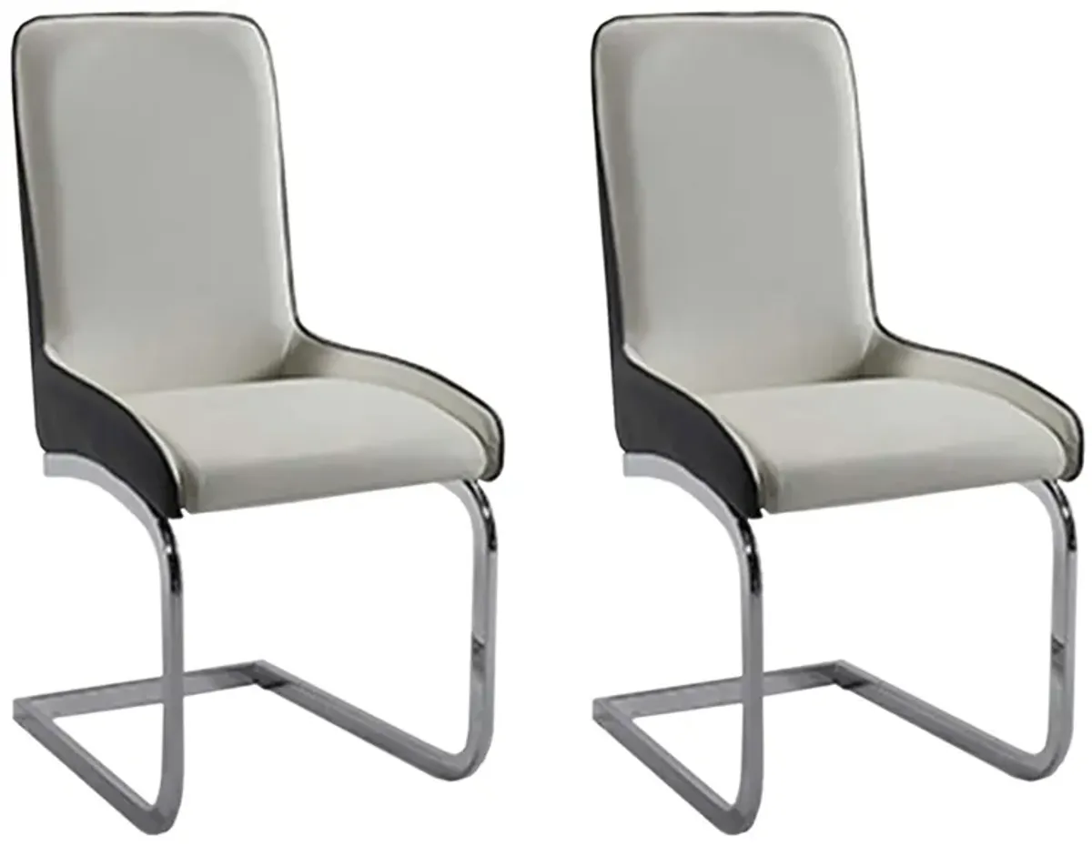 Dreamhouse Dining Chairs - Set of 2 in Gray/White by Chintaly Imports