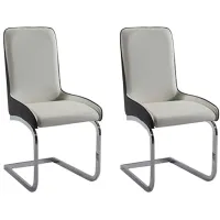 Dreamhouse Dining Chairs - Set of 2 in Gray/White by Chintaly Imports