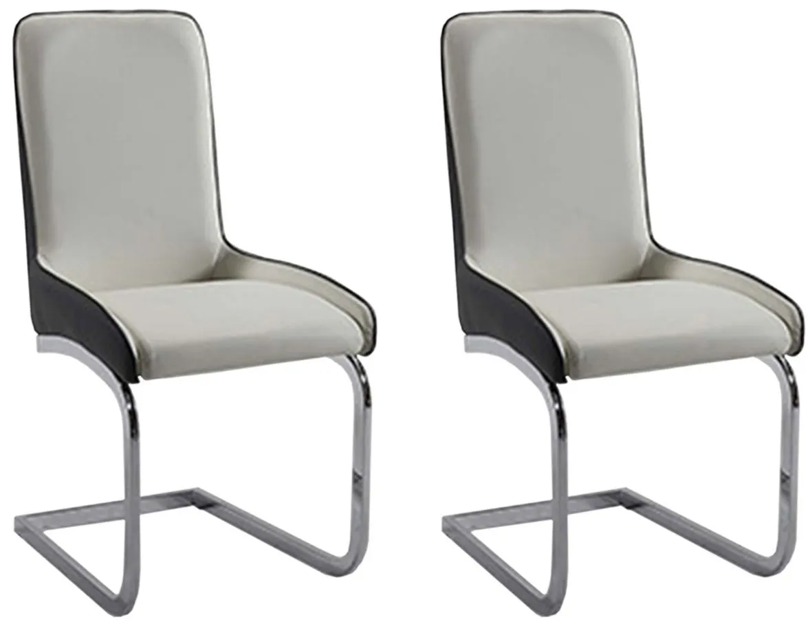 Dreamhouse Dining Chairs - Set of 2 in Gray/White by Chintaly Imports