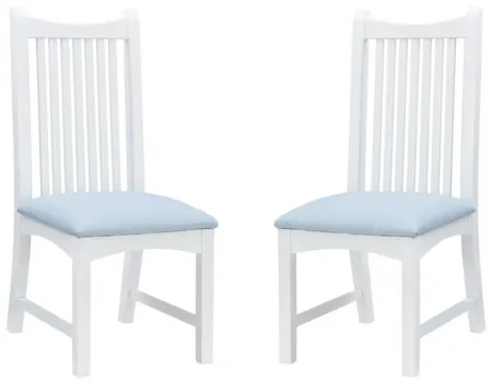 Bonnie Dining Chair - Set of 2 in Blue by Linon Home Decor