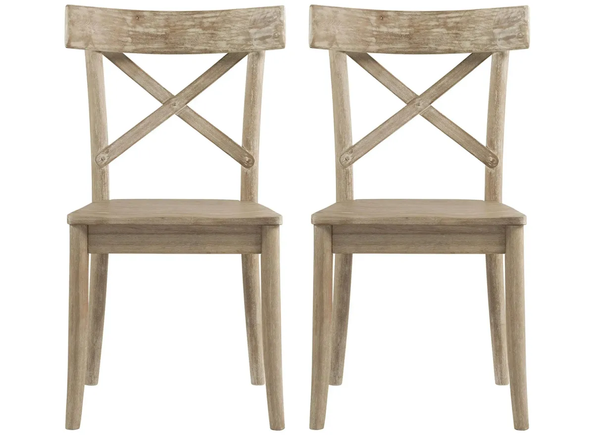 Keaton Side Chair Set of 2 in Beach by Elements International Group