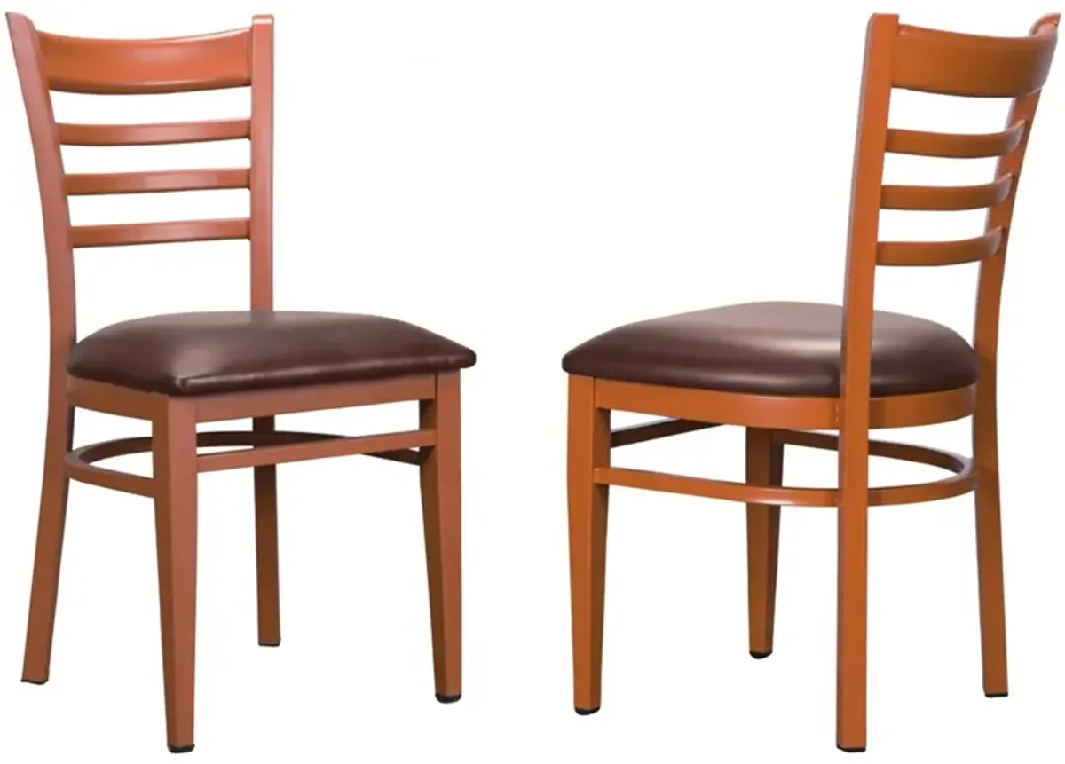 Baxter Dining Chair -Set of 2 in Brown by Linon Home Decor