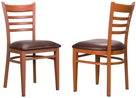 Baxter Dining Chair -Set of 2 in Brown by Linon Home Decor