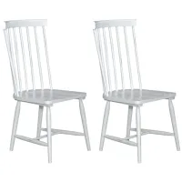 Capeside Cottage Side Chair - Set of 2 in Porcelain White/Royal Black by Liberty Furniture