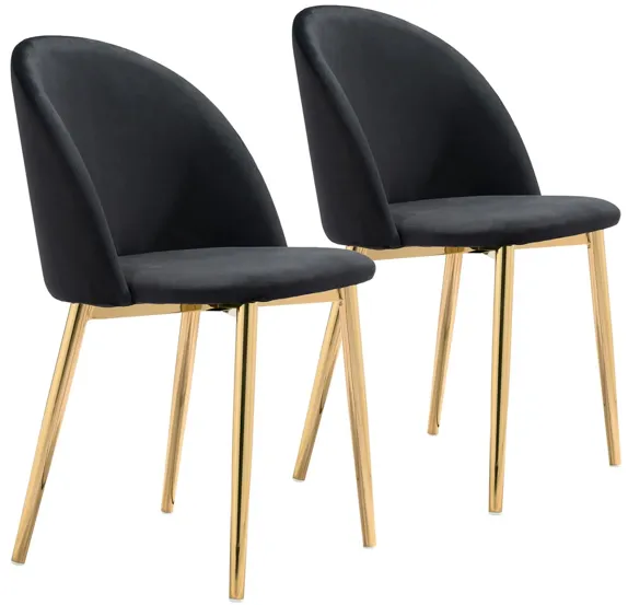 Cozy Dining Chair: Set of 2 in Black, Gold by Zuo Modern