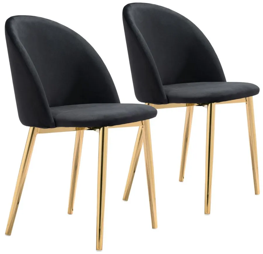 Cozy Dining Chair: Set of 2 in Black, Gold by Zuo Modern