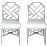 Kara Dining Chair: Set of 2 in Gray by New Pacific Direct