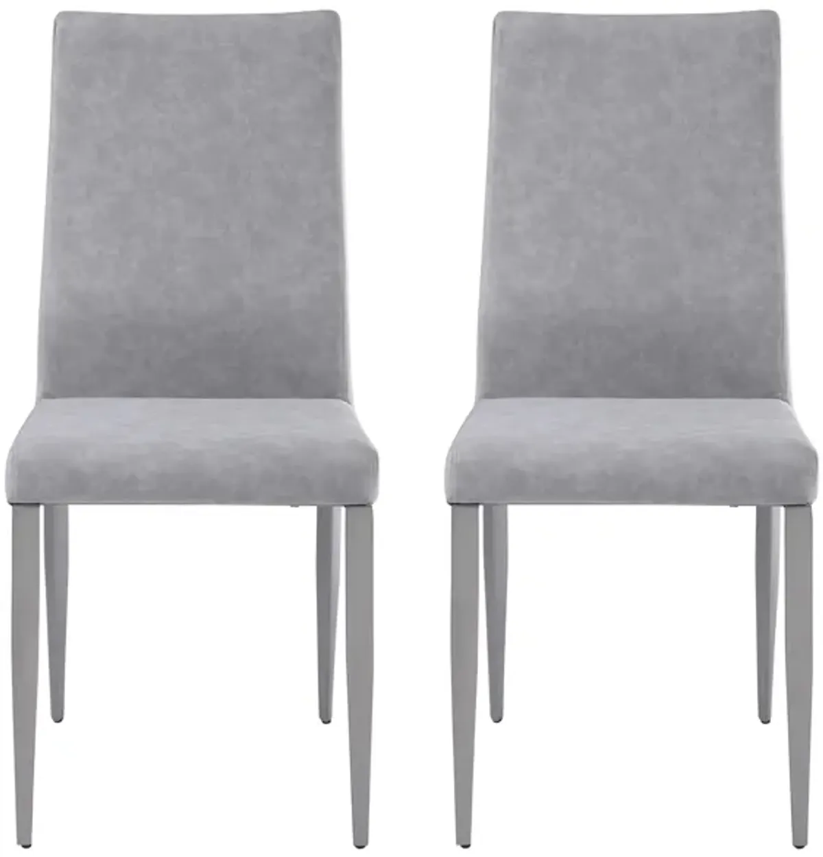 Desiree Side Chair - Set of 2 in Gray by Chintaly Imports