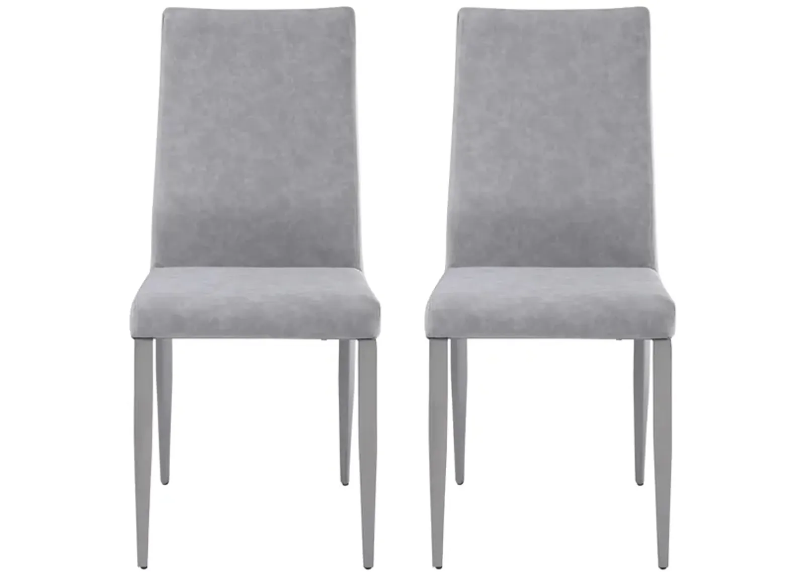 Desiree Side Chair - Set of 2 in Gray by Chintaly Imports