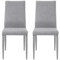 Desiree Side Chair - Set of 2 in Gray by Chintaly Imports