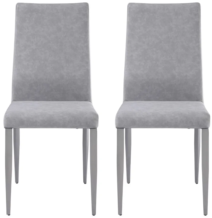 Desiree Side Chair - Set of 2 in Gray by Chintaly Imports