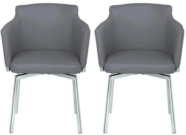 Dusty Dining Chair - Set of 2