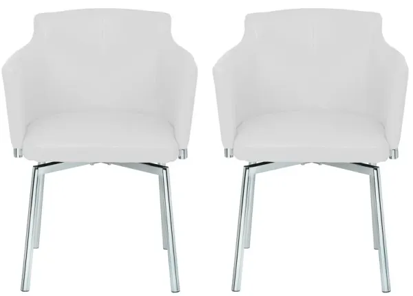 Dusty Dining Chair - Set of 2