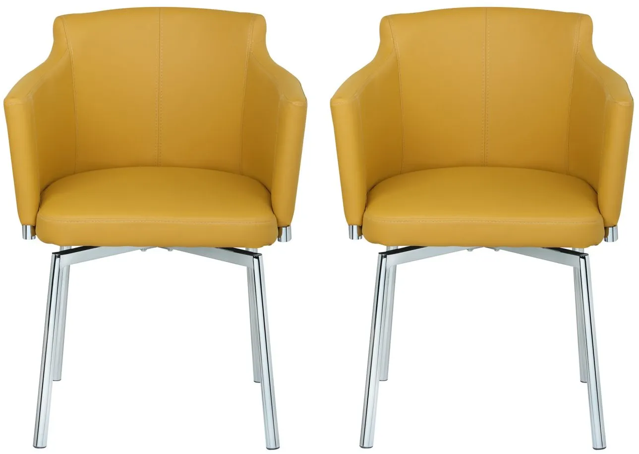 Dusty Dining Chair - Set of 2 in Yellow by Chintaly Imports