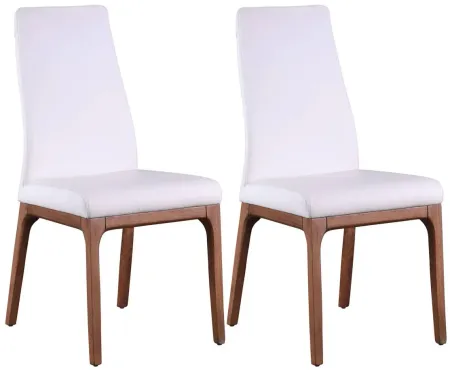 Rosario Dining Chair -Set of 2 in Walnut and White by Chintaly Imports