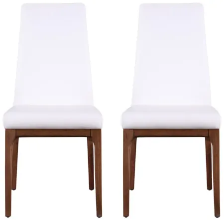 Rosario Dining Chair -Set of 2 in Walnut and White by Chintaly Imports