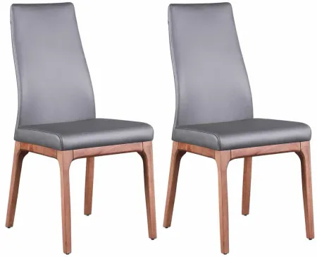 Rosario Dining Chair -Set of 2 in Gray by Chintaly Imports