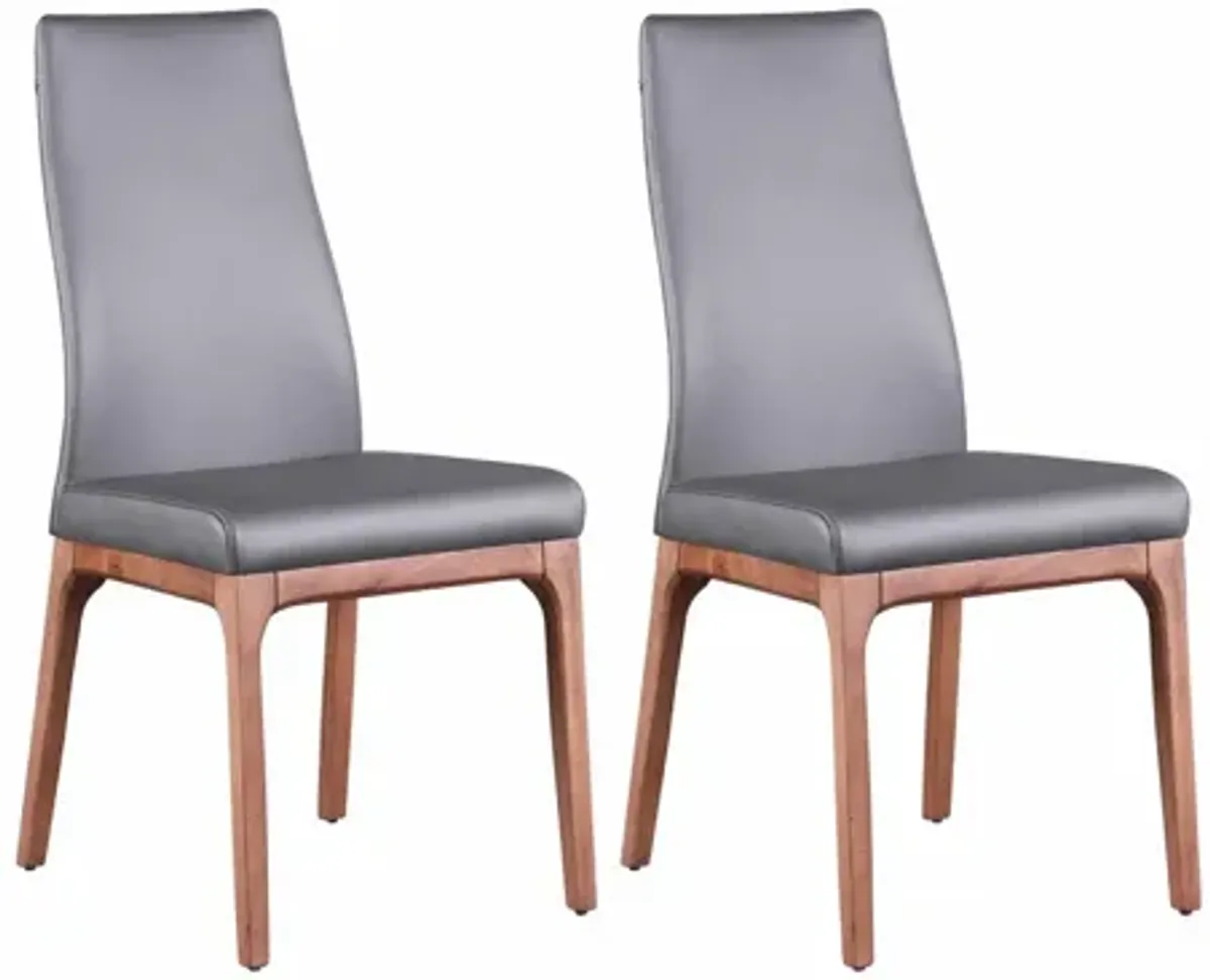 Rosario Dining Chair -Set of 2 in Gray by Chintaly Imports