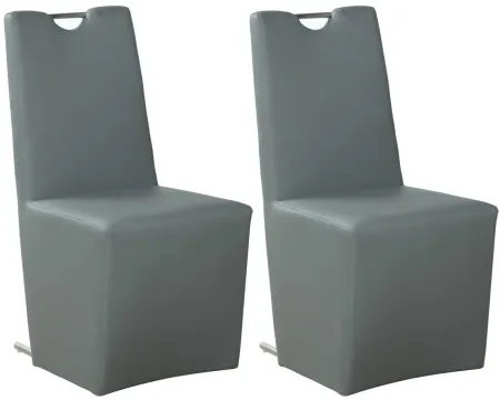 Evie Dining Chair - Set of 2 in Gray by Chintaly Imports