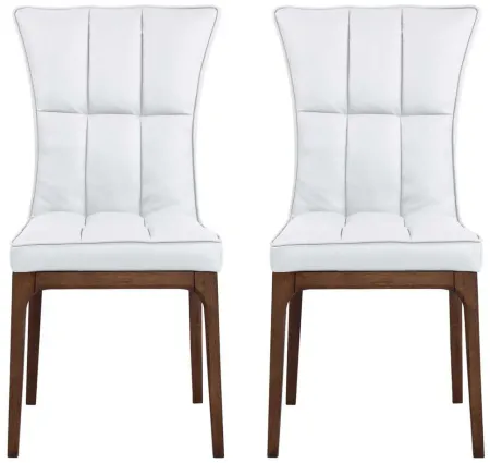 Peggie Dining Chair - Set of 2 in Walnut and White by Chintaly Imports