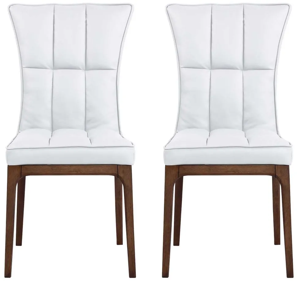 Peggie Dining Chair - Set of 2 in Walnut and White by Chintaly Imports