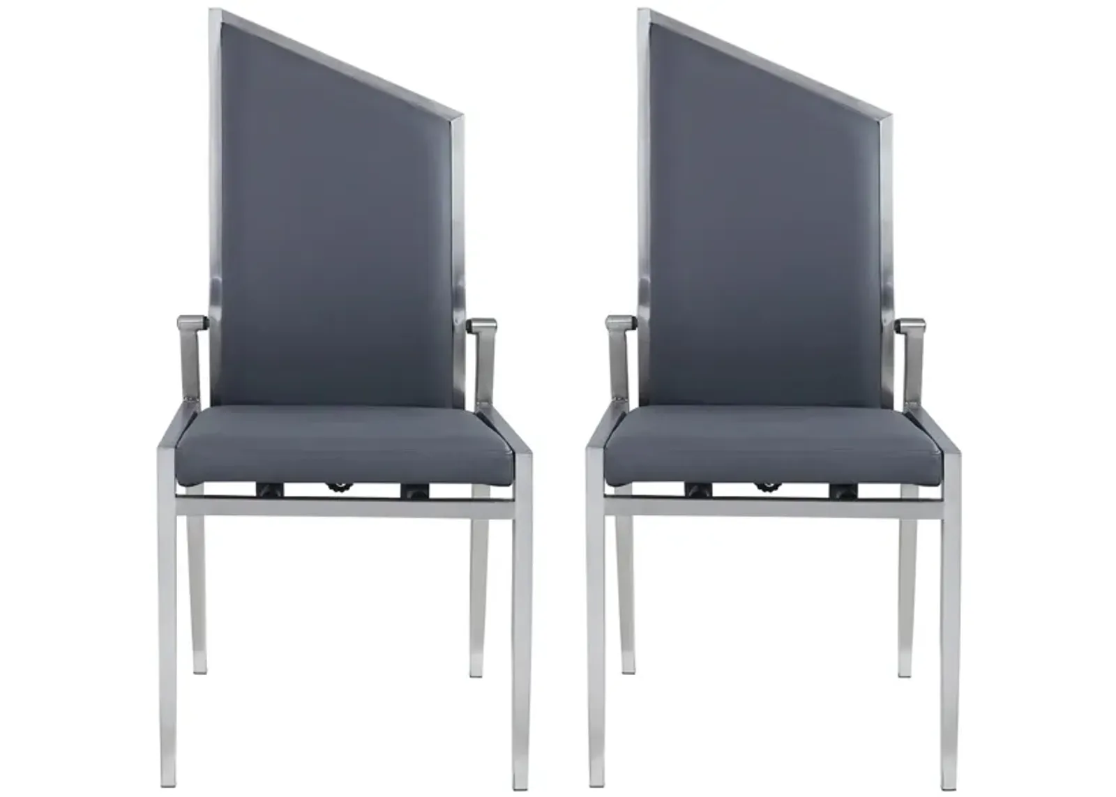 Nala Dining Chair - Set of 2 in Gray by Chintaly Imports