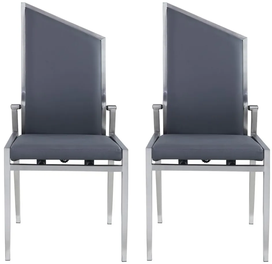 Nala Dining Chair - Set of 2 in Gray by Chintaly Imports