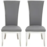 Joy Dining Chair - Set of 2 in Gray by Chintaly Imports
