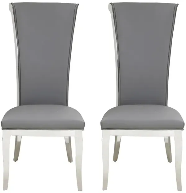 Joy Dining Chair - Set of 2