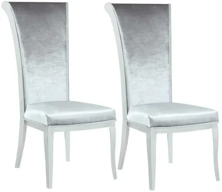 Joy Side Chair - Set of 2 in Gray by Chintaly Imports